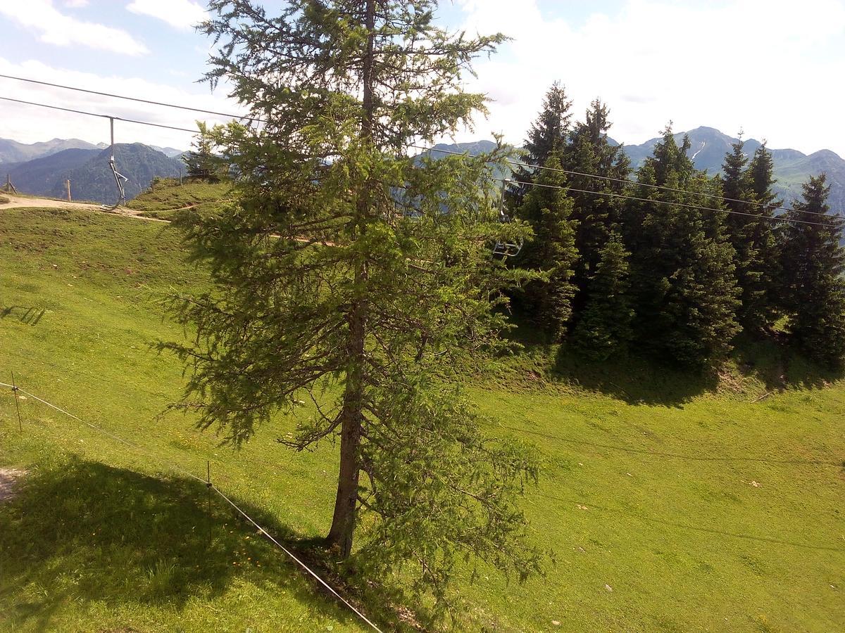 Gasthof-Pension Frohnwies Weißbach bei Lofer Extérieur photo